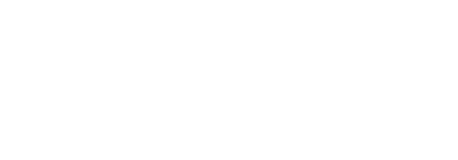 VOYUS